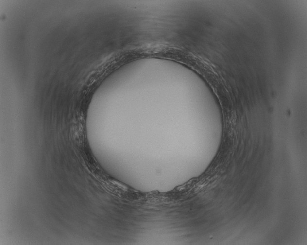 X0000073951349200609181351