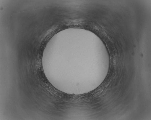 X0000073951350200609181351