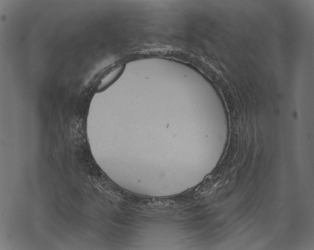 X0000073951351200609181351