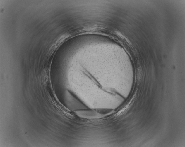 X0000073951353200609181351