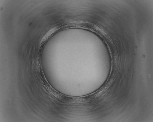 X0000073951354200609181351