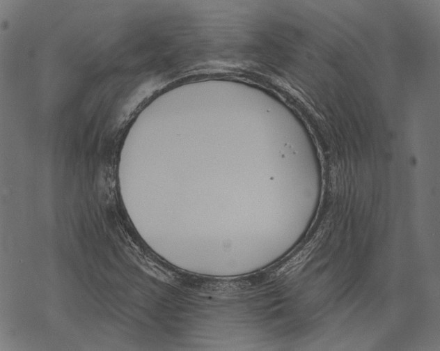 X0000073951355200609181351