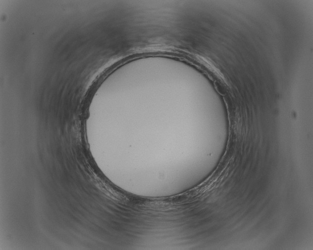 X0000073951356200609181351