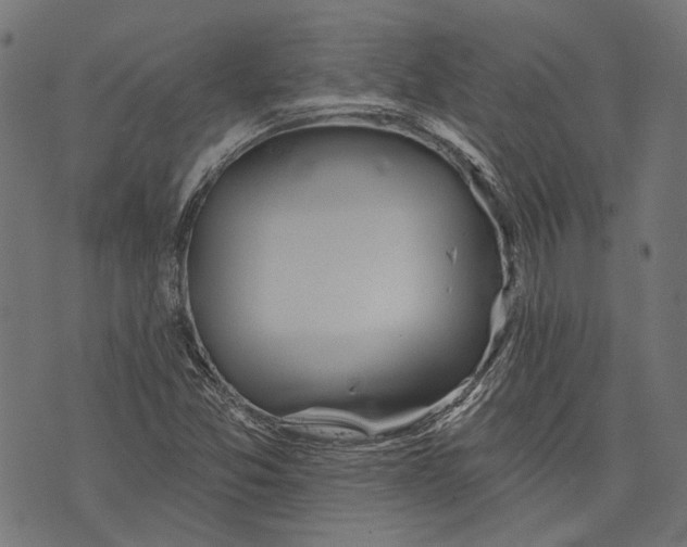 X0000073951357200609181351