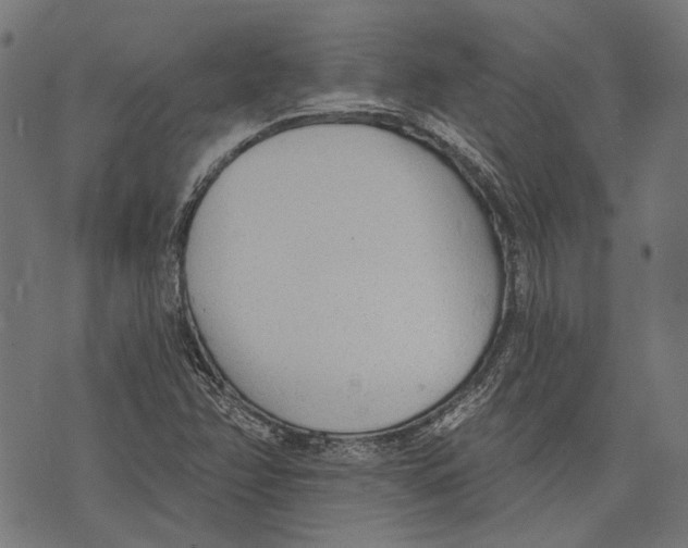 X0000073951358200609181351