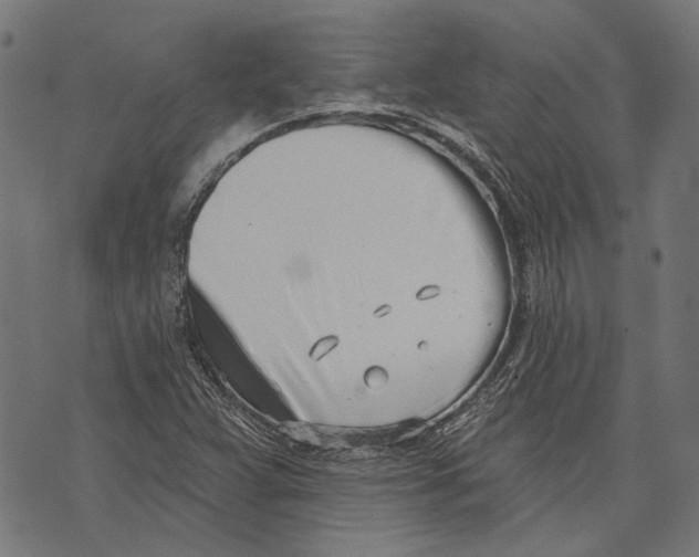 X0000073951359200609181350