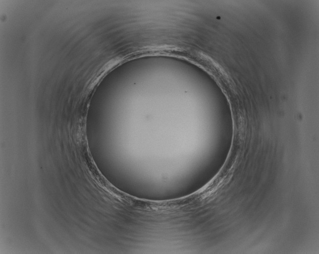 X0000073951361200609181350