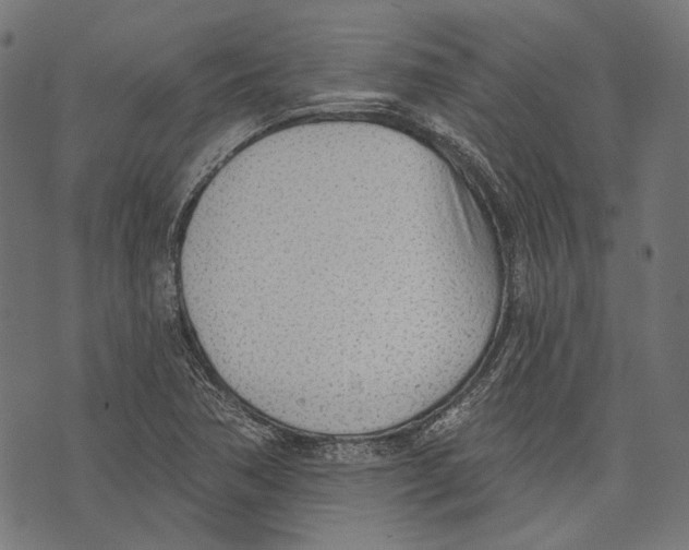 X0000073951362200609181350