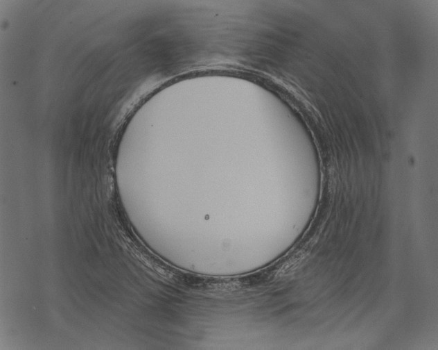 X0000073951363200609181350