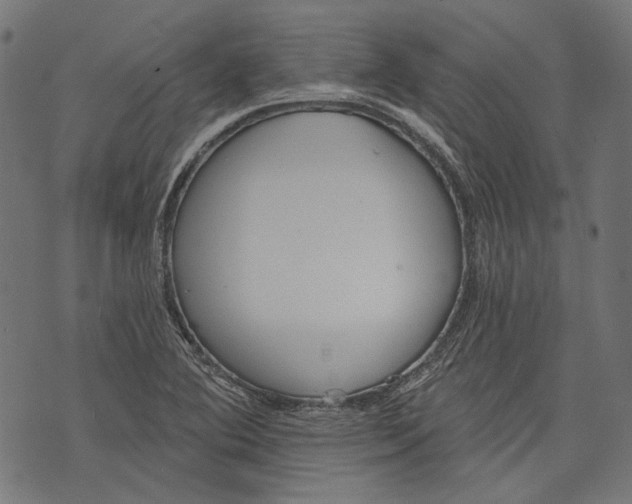 X0000073951364200609181350