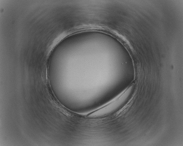 X0000073951365200609181350