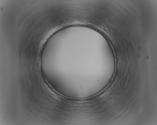 X0000073951367200609181350