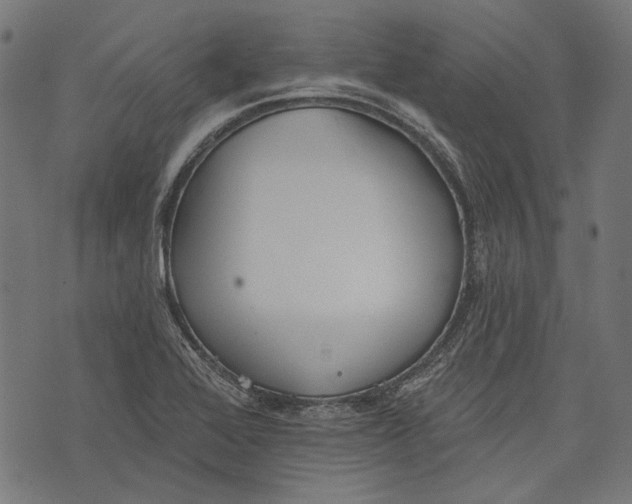 X0000073951368200609181350