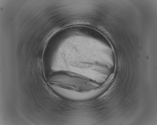 X0000073951369200609181350