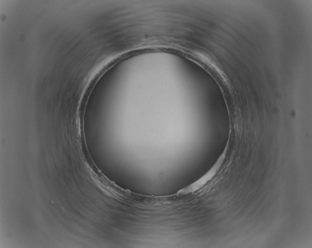 X0000073951372200609181350