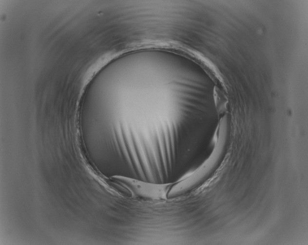 X0000073951373200609181350