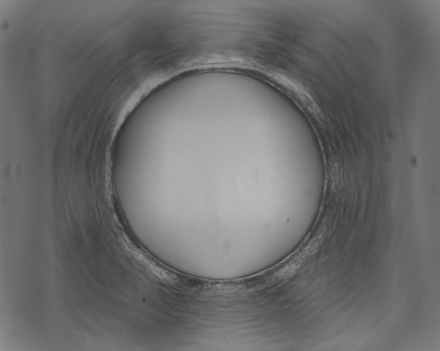 X0000073951374200609181350