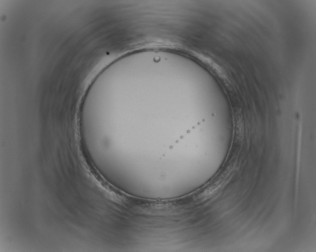 X0000073951375200609181350