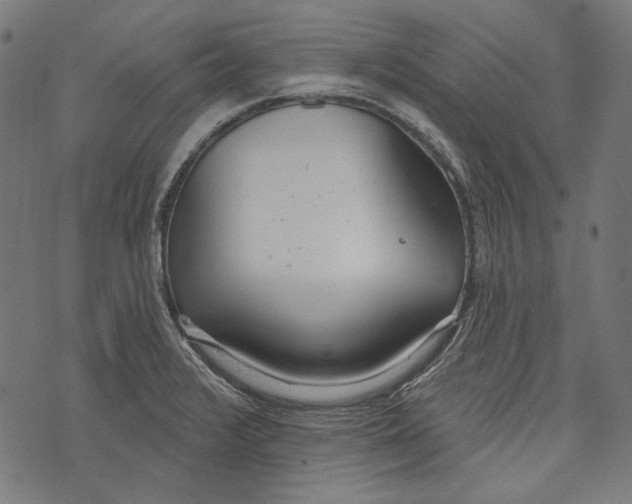 X0000073951376200609181350