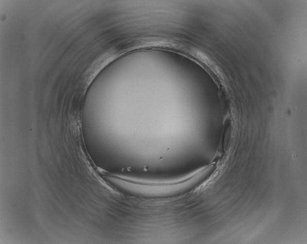 X0000073951377200609181350