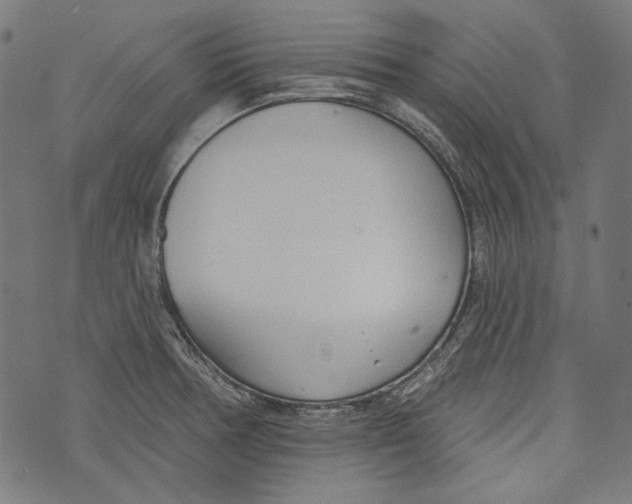 X0000073951378200609181350