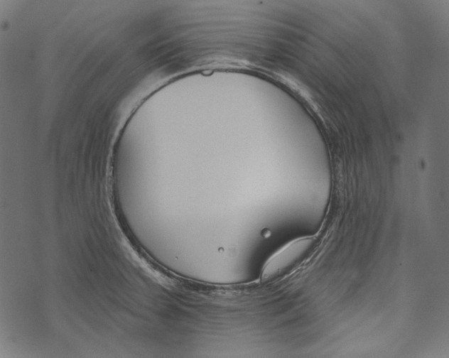 X0000073951379200609181350