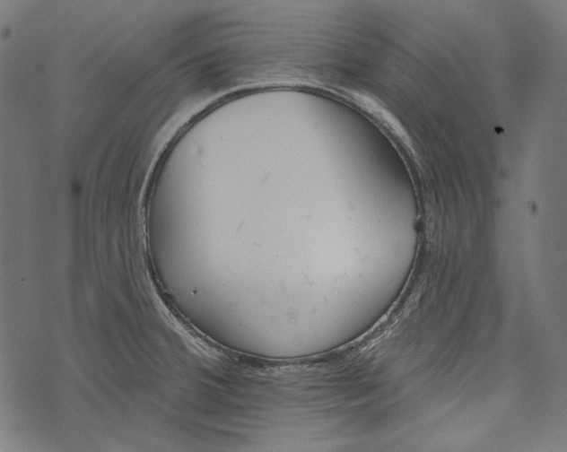 X0000073951380200609181350