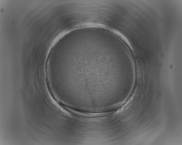 X0000073951381200609181350