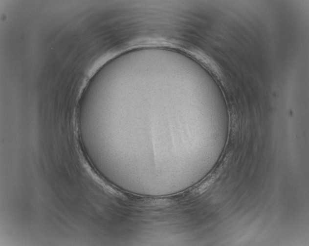 X0000073951382200609181350