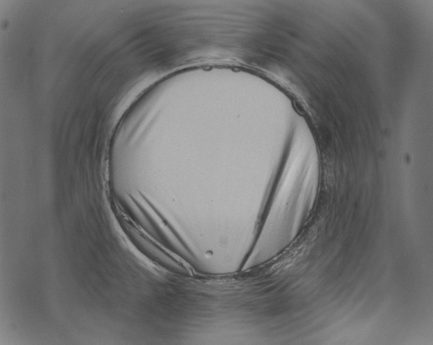 X0000073951383200609181350