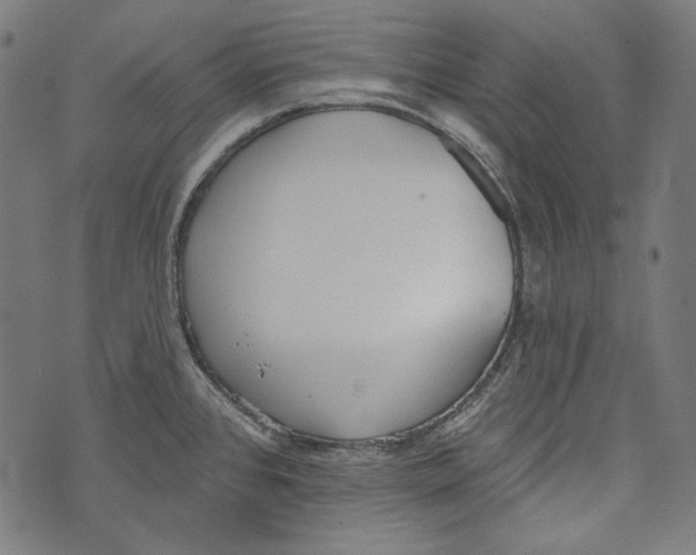 X0000073951384200609181350