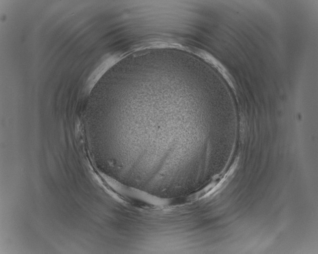 X0000073951385200609181350