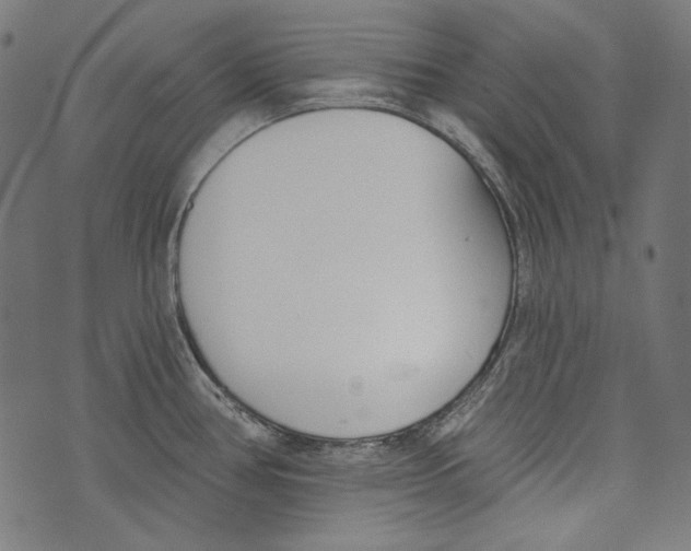 X0000073951386200609181350