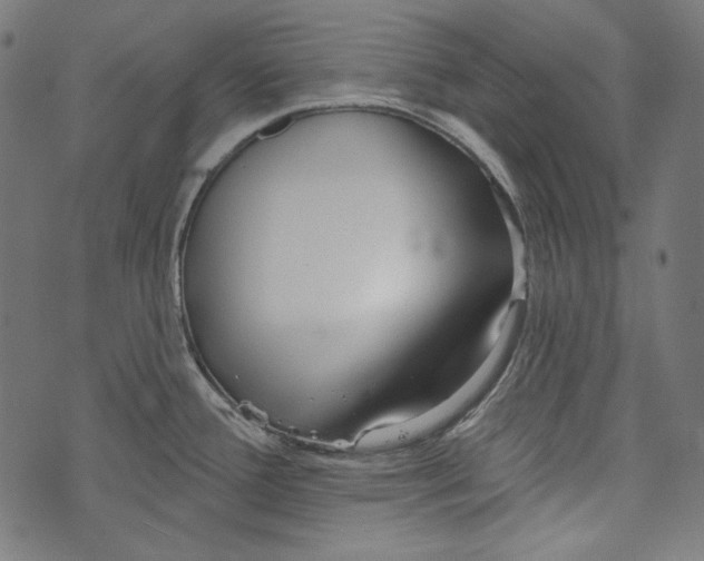 X0000073951388200609181350