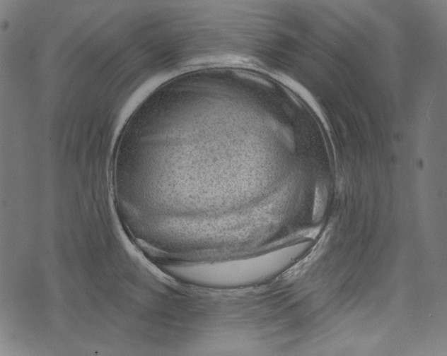 X0000073951389200609181350