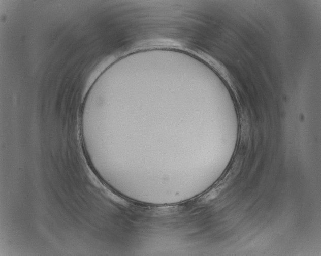 X0000073951390200609181350