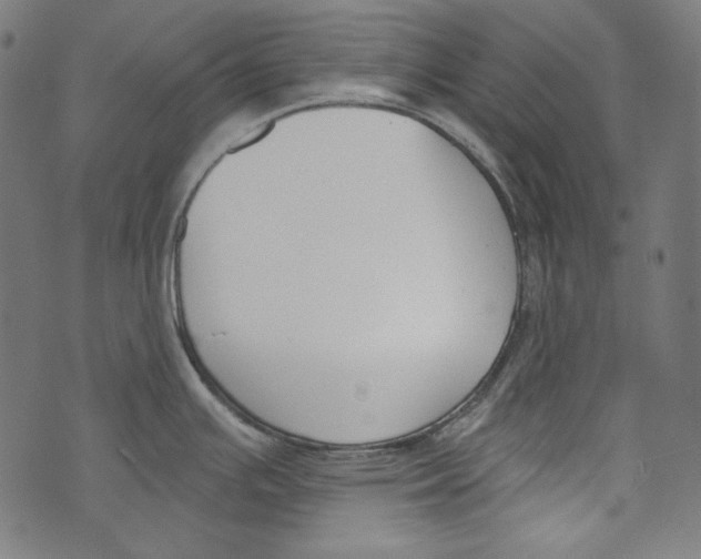 X0000073951391200609181350