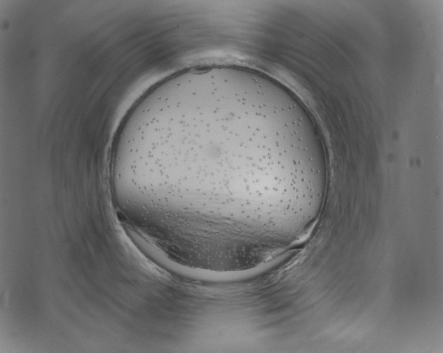 X0000073951392200609181350