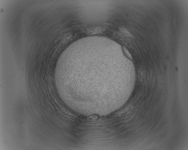 X0000073951393200609181349