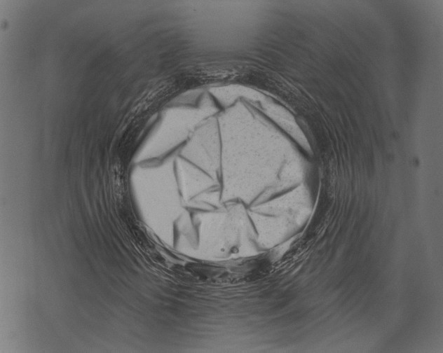 X0000073951394200609181349