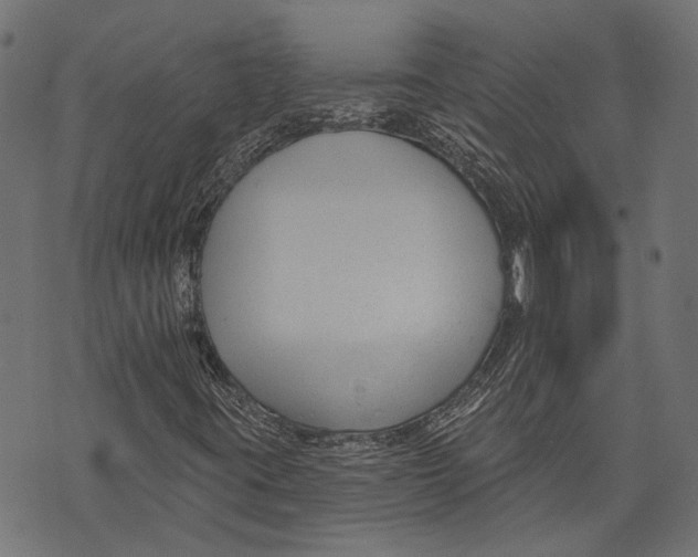 X0000073951395200609181349