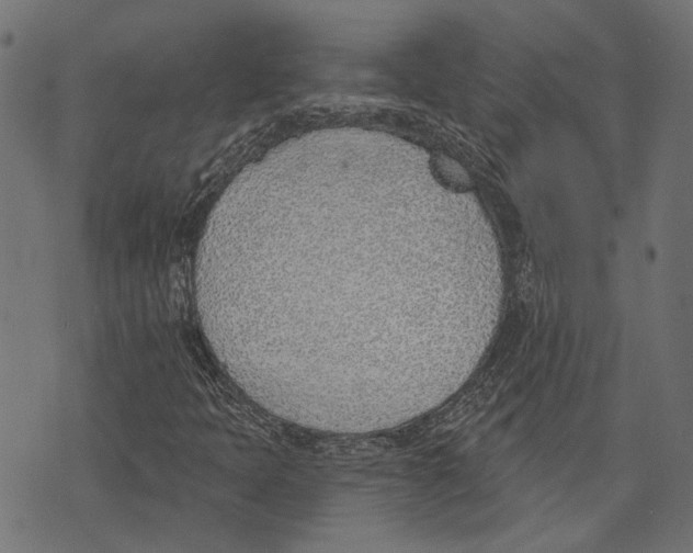 X0000073951397200609181349