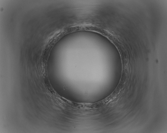 X0000073951398200609181349