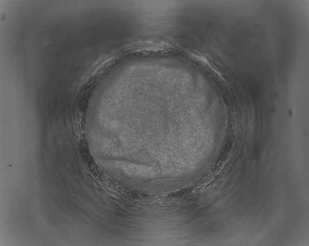 X0000073951399200609181349