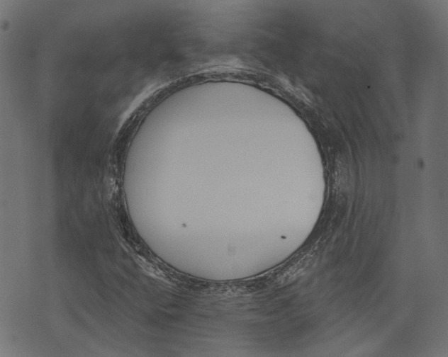 X0000073951400200609181349