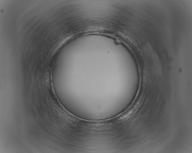 X0000073951401200609181349