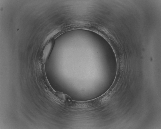 X0000073951402200609181349