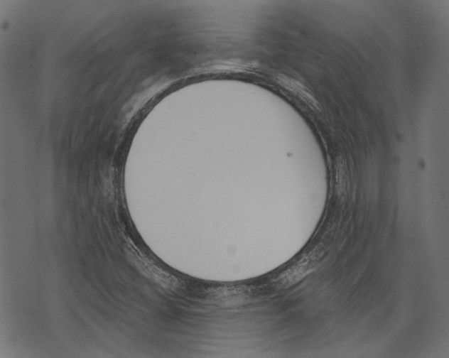 X0000073951404200609181349