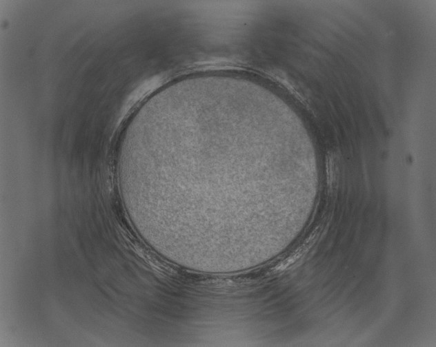 X0000073951405200609181349