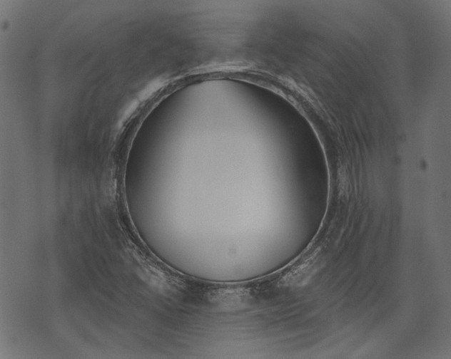 X0000073951406200609181349